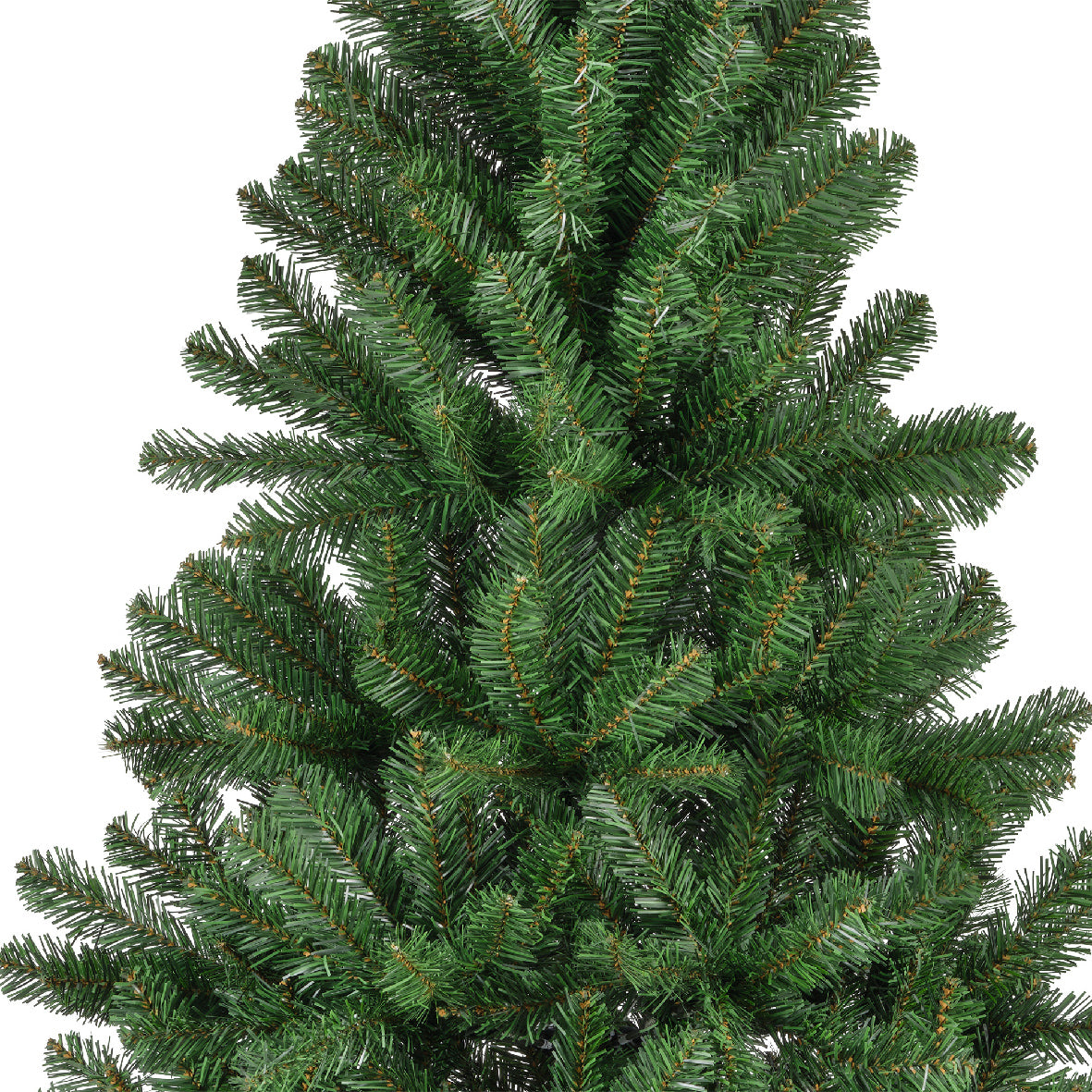 Novogodišnja jelka MONARCH PINE