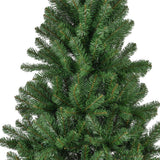 Novogodišnja jelka MONARCH PINE
