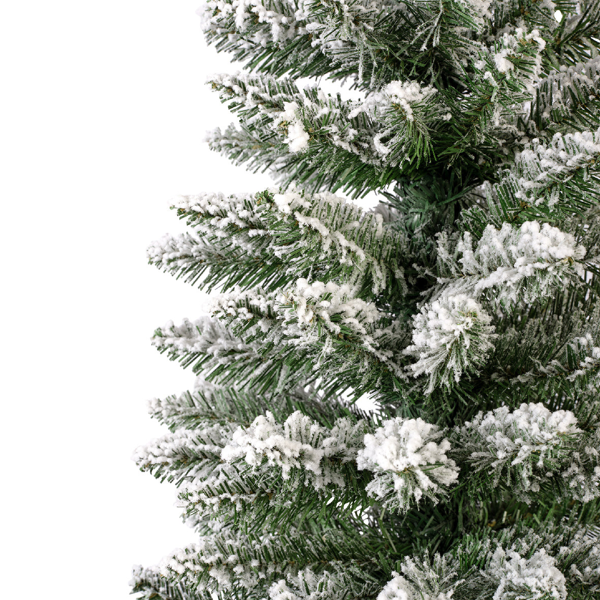 Novogodišnja jelka PENCIL PINE SNOWY
