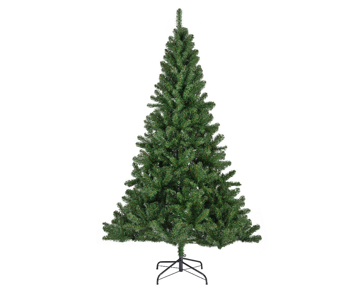 Novogodišnja jelka MONARCH PINE