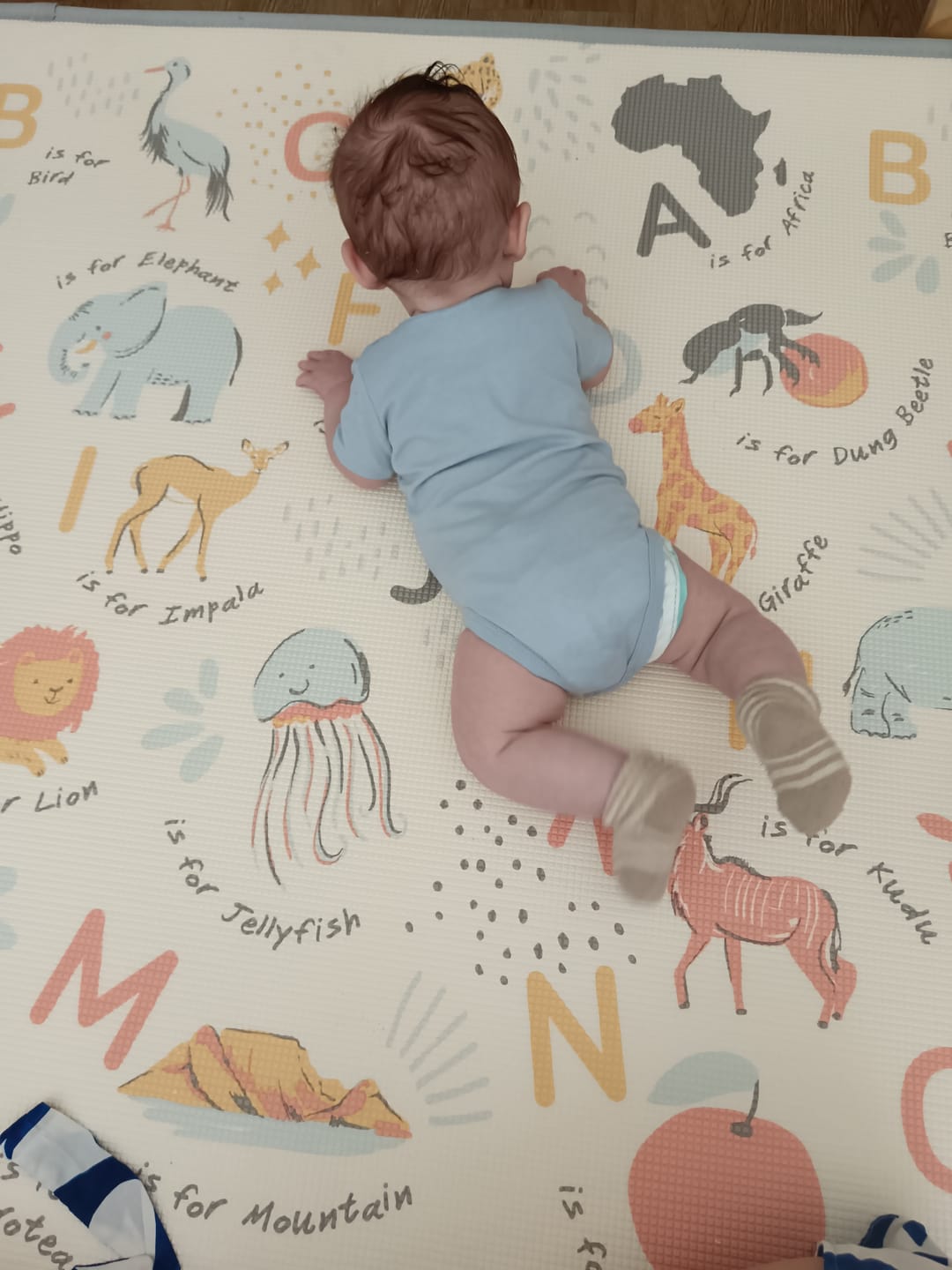Podne obloge za dečiju sobu - "Dream Soft"