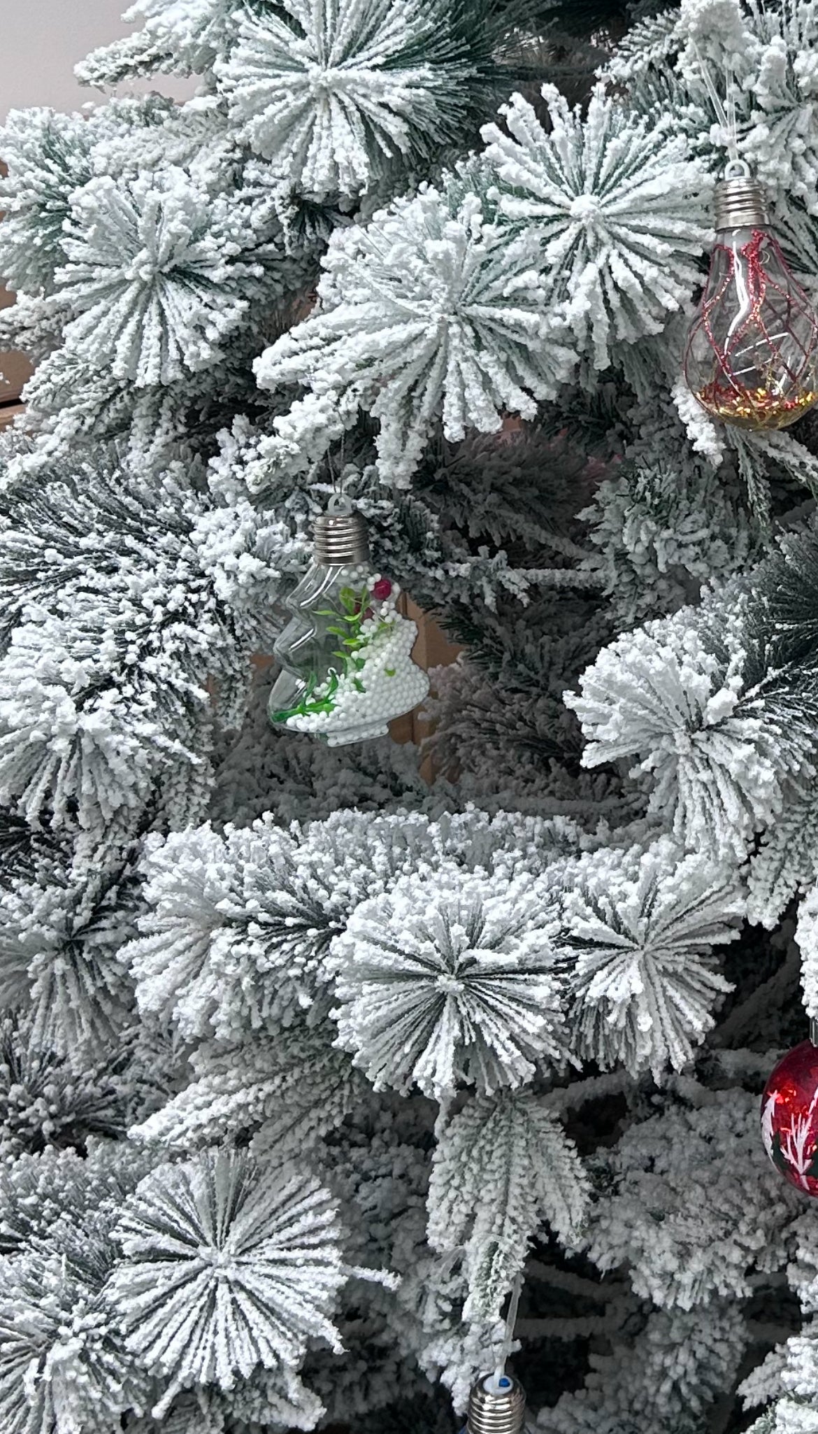 Novogodišnja Jelka Oxford